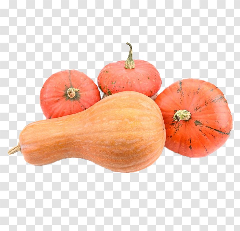 Calabaza Winter Squash Pumpkin Gourd - Orange - Ripe Red Transparent PNG