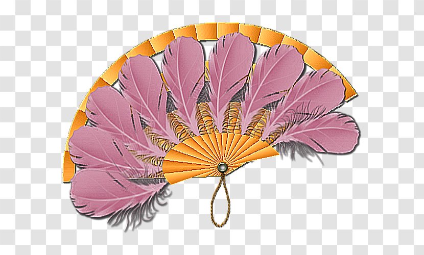 Cut Flowers Fan - Decorative - Iodine125 Transparent PNG