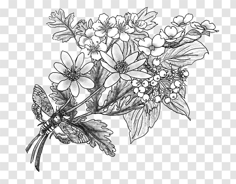 Flower Tree Drawing Sketch - Tattoo - Hawthorn Transparent PNG