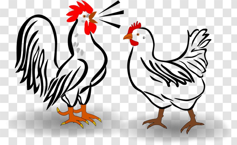 Dorking Chicken Leghorn Cochin Clip Art Rooster - Black And White Transparent PNG