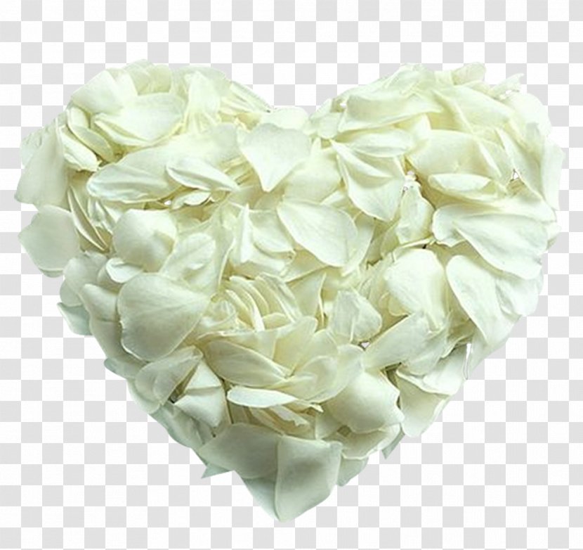 Desktop Wallpaper Heart Valentine's Day Rose - White - Roses Transparent PNG