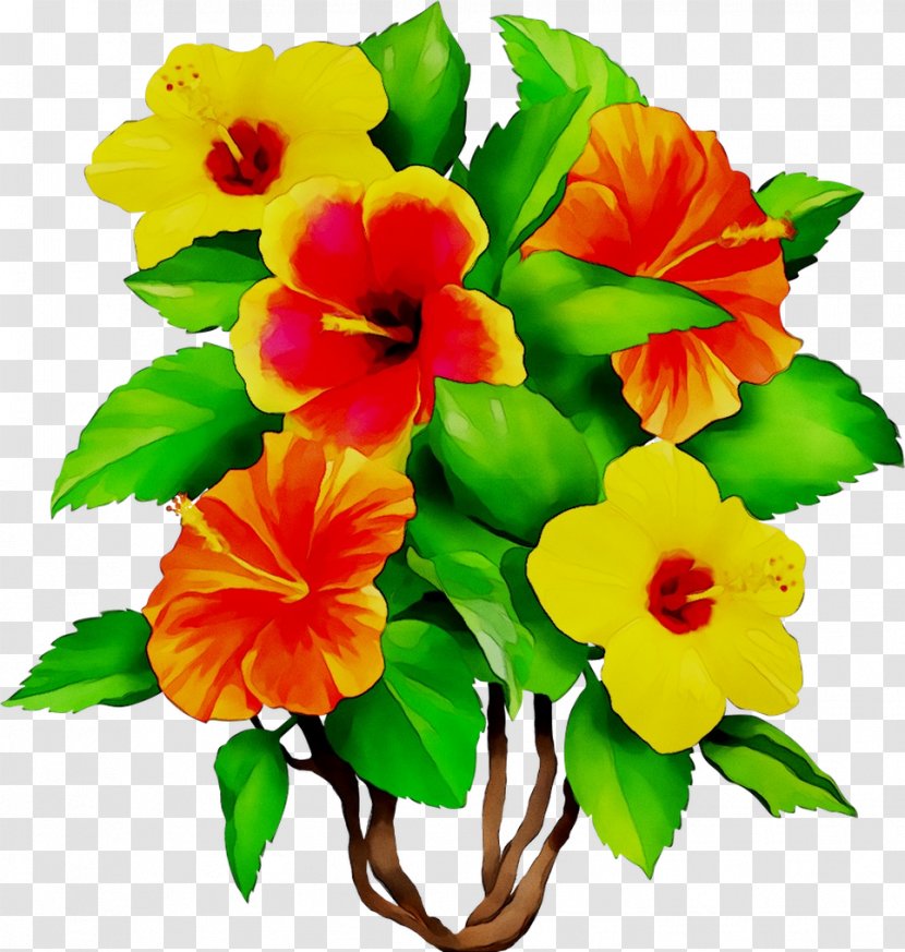 Rosemallows Annual Plant Herbaceous Cut Flowers Violet - Bouquet - Orange Transparent PNG
