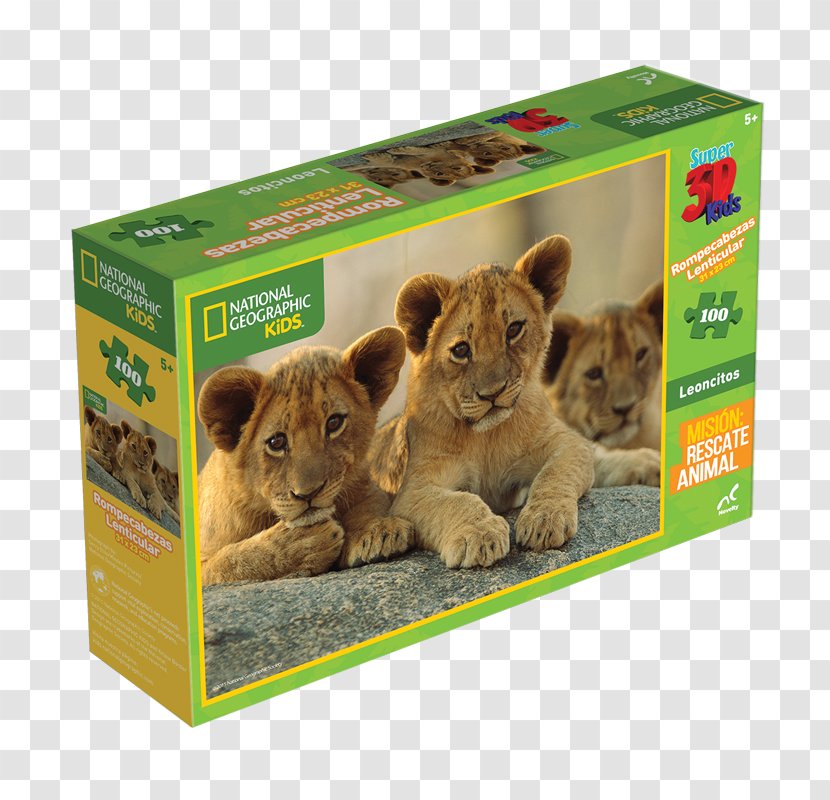 Lion Earth Scholastic Corporation Fauna Wildlife Transparent PNG
