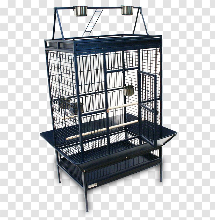 Birdcage True Parrot Pet - Dog Crate - Bird Transparent PNG