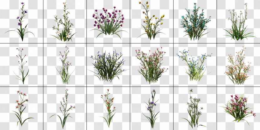 Lavender Rendering Email Cinema 4D Graphics Processing Unit - Plant Stem Transparent PNG