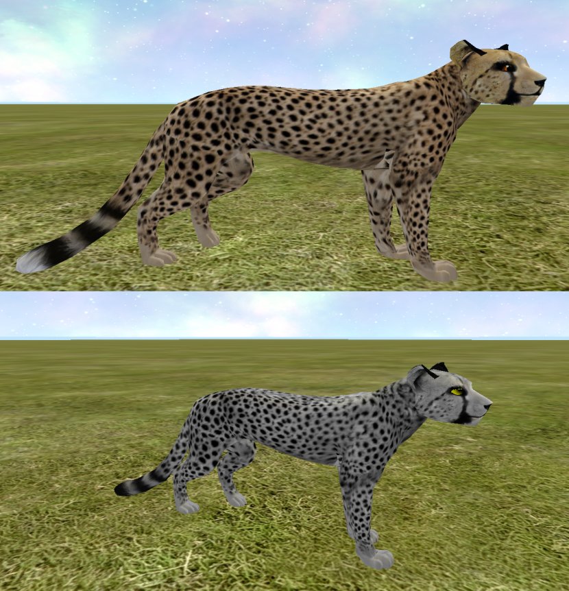 Cheetah Leopard Cat Gray Wolf Fur Transparent PNG