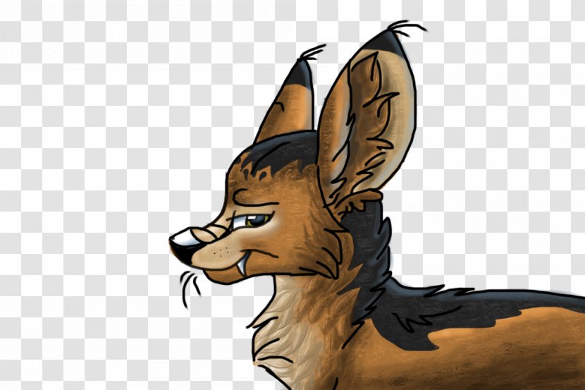 Canidae Jackal Dog Cartoon - Animal Transparent PNG