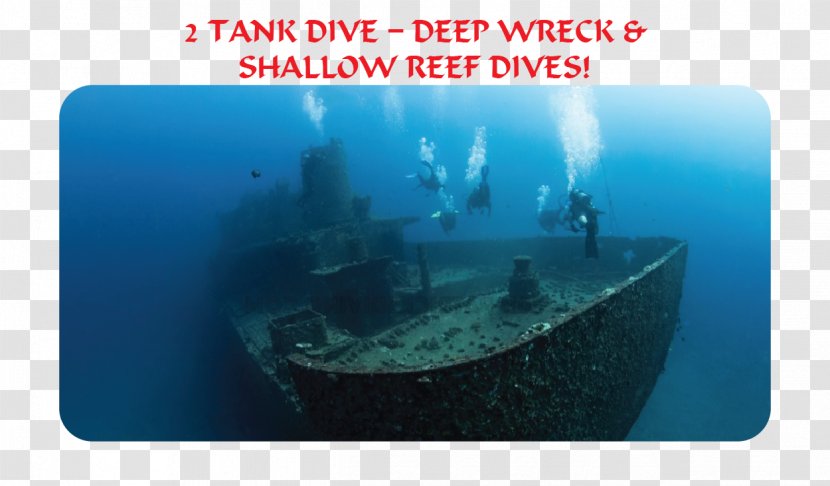 Water Sea Marine Biology Shipwreck Transparent PNG