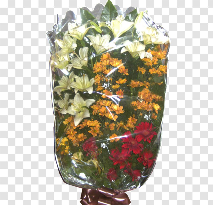 Floral Design Cut Flowers Flower Bouquet Flowering Plant Transparent PNG