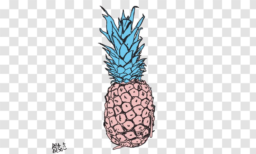 Pineapple - Flowering Plant - Ananas Transparent PNG