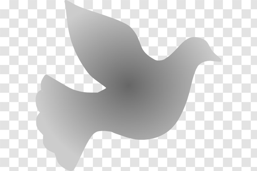 Duck Beak Font - Bird Transparent PNG