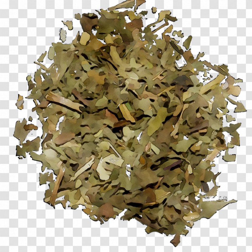 Green Tea Herbal Production In Sri Lanka Ceylon Transparent PNG