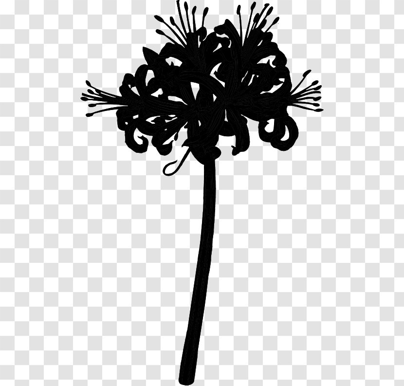 Palm Trees Plant Stem Flower Leaf Line - Heracleum - Blackandwhite Transparent PNG