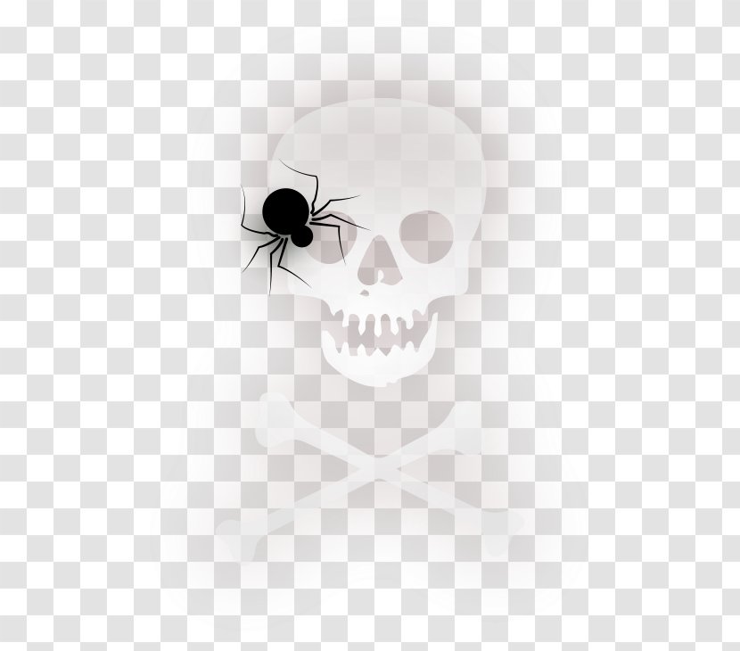 Spider Halloween Clip Art - Black And White - Vector Material Transparent PNG