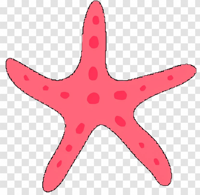 Cartoon Star - Starfish - Pink Transparent PNG