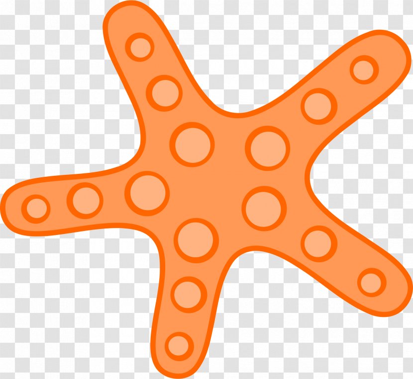 Starfish Clip Art - Invertebrate - Cute Image Transparent PNG