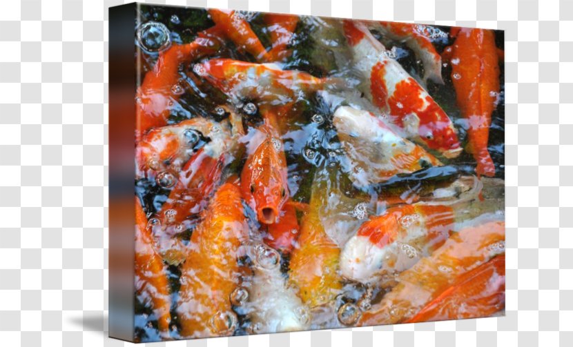 Shrimp Recipe - Seafood Transparent PNG