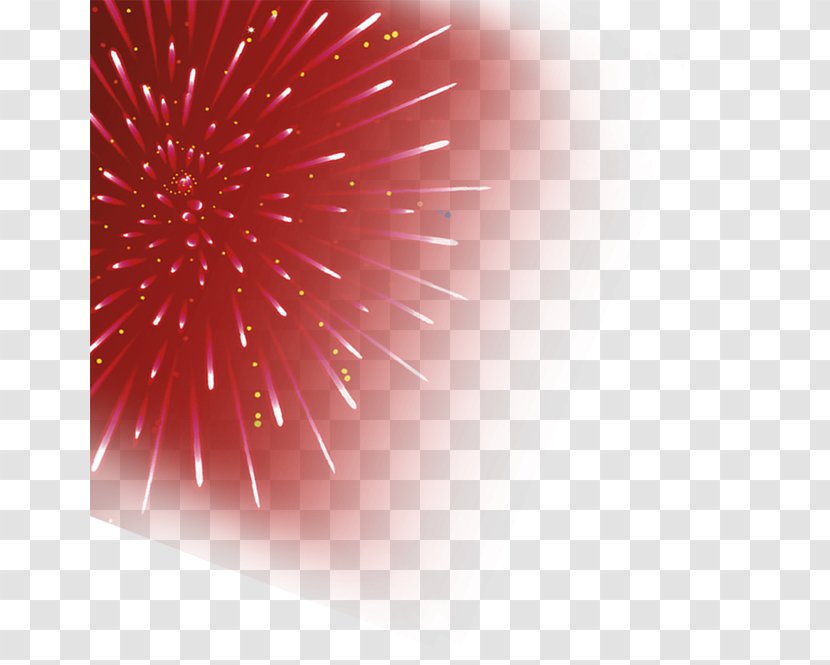 Light Petal Computer Wallpaper - Red Rocket Transparent PNG