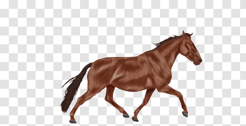 Kingston Museum Horse Stock Photography Royalty-free - Mare Transparent PNG