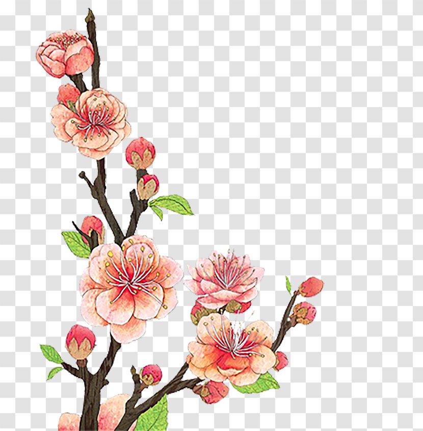 Graphic Design Plum Blossom Clip Art - Designer - Hand Painted A Bunch Of Cherry Blossoms Transparent PNG