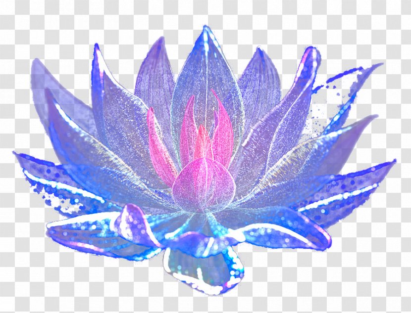 Blue Flower - Dream Blooming Flowers Transparent PNG