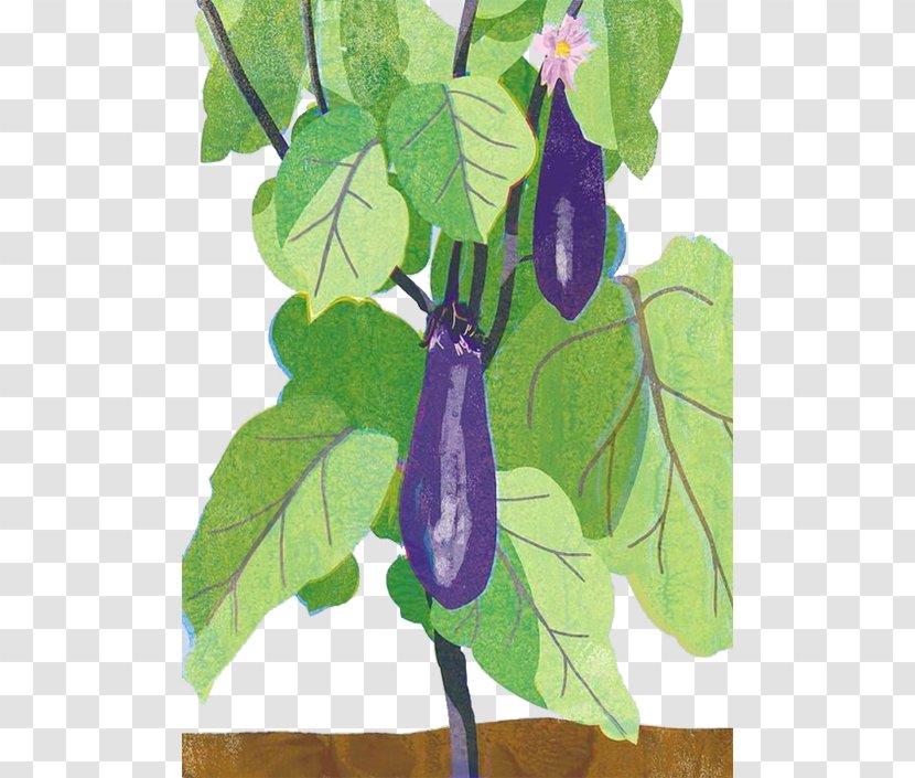 Japan Eggplant Art Drawing Illustration - Poster - Purple Transparent PNG