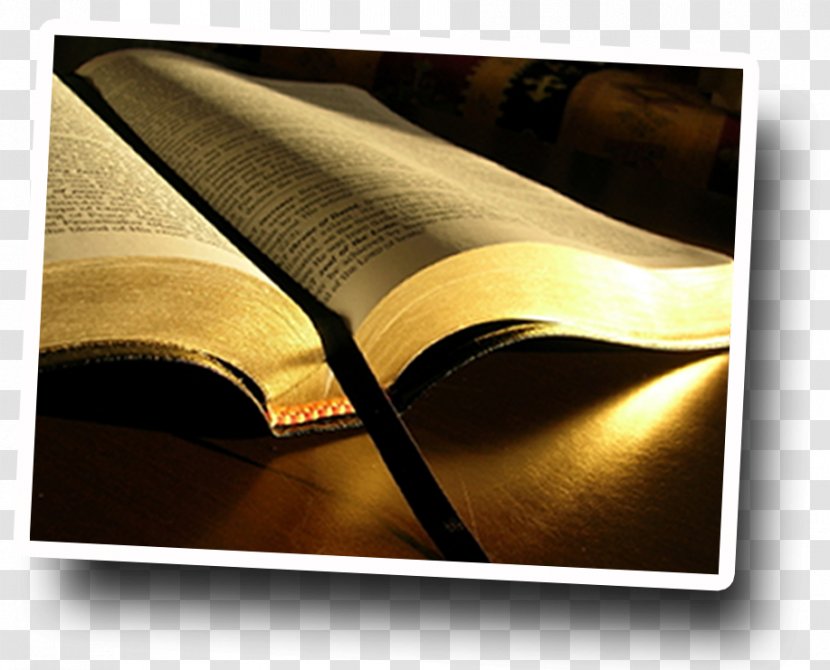 Bible Study John 3:16 New King James Version Prayer - Christian Church - Holy Transparent PNG