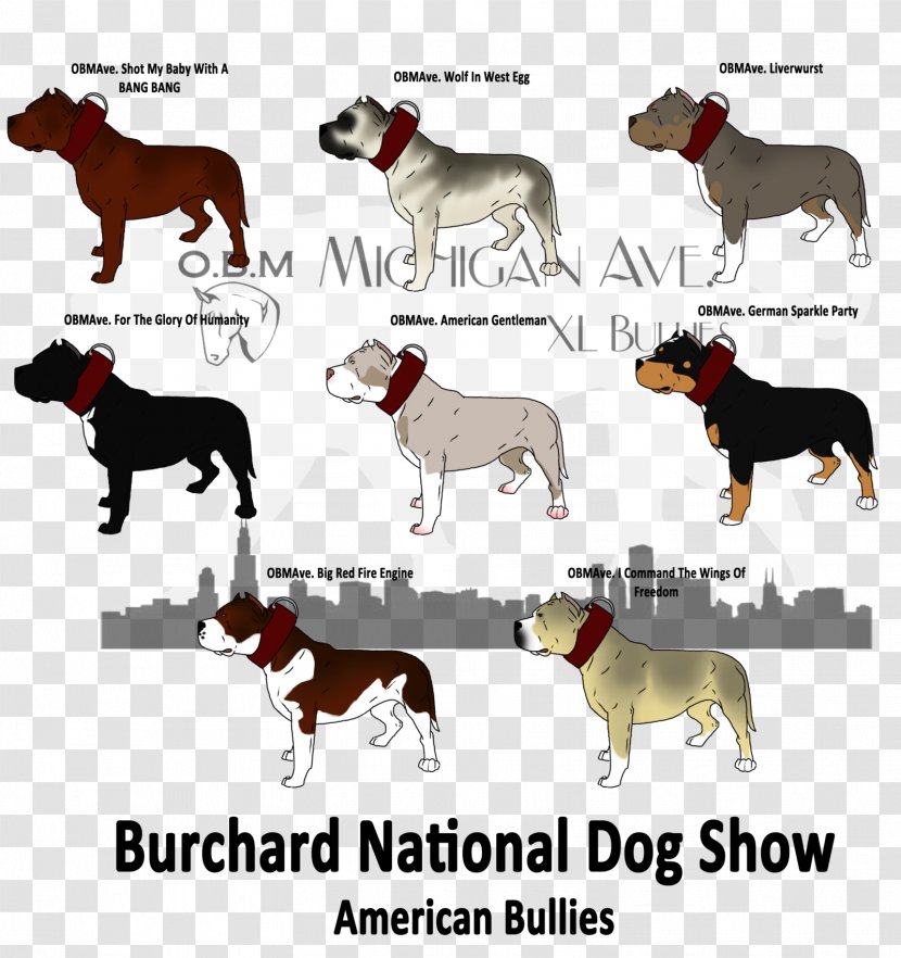 Dog Breed Font - Mammal - Show Transparent PNG