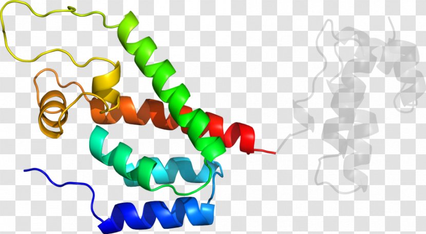 Clip Art Product Line Organism - P24 Capsid Protein Transparent PNG