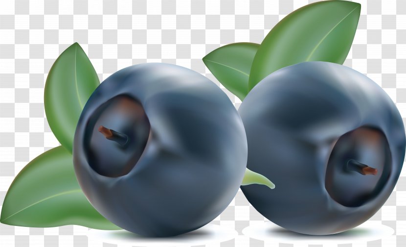 Juice European Blueberry Bilberry - Produce - Blueberries Transparent PNG