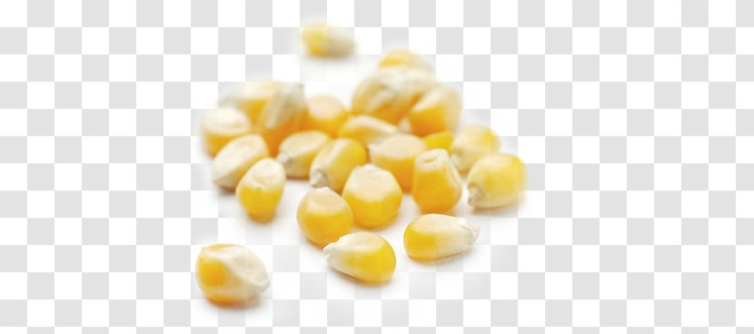 Corn On The Cob Popcorn Maize VRT D.o.o. Cereal - Superfood Transparent PNG