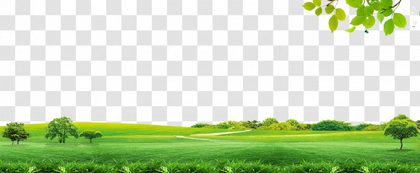 Sky Icon - Computer Graphics - Spring Material Transparent PNG