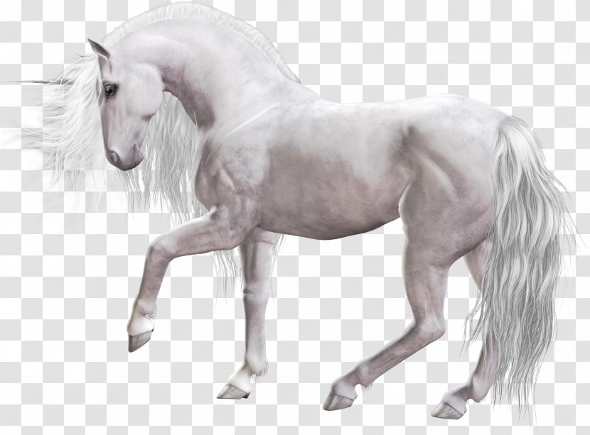 Unicorn Mane Mustang Stallion Clip Art - Animal Figure Transparent PNG