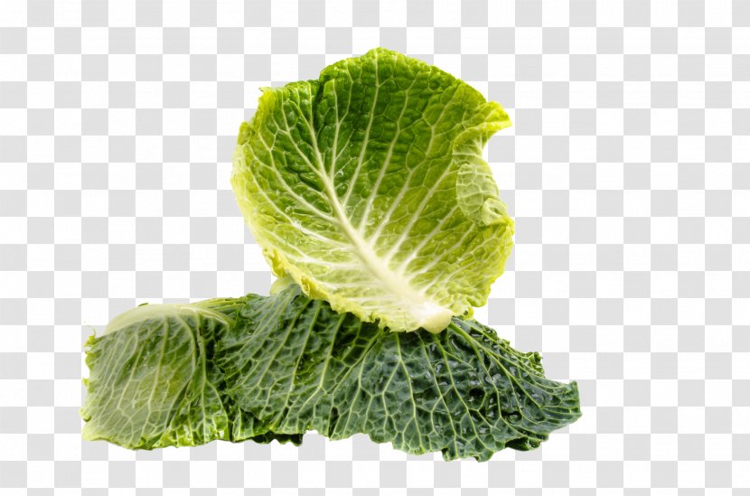 Smoothie Vegetarian Cuisine Kale Health Food - Superfood - Cabbage Transparent PNG