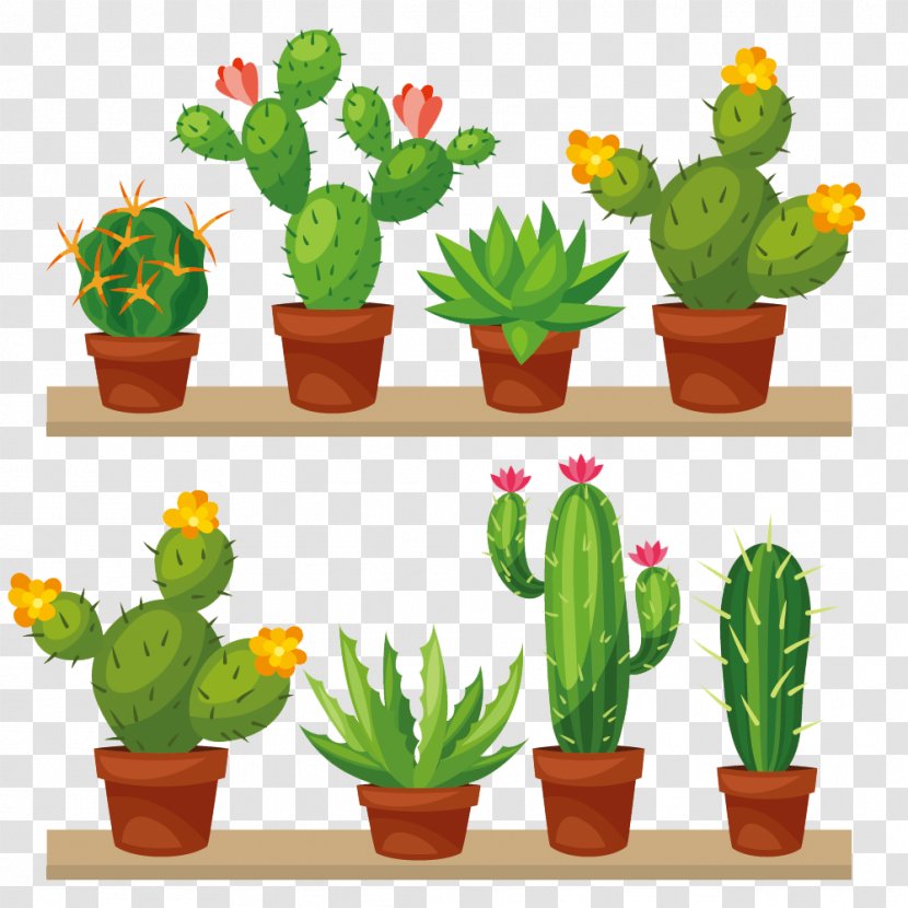 Cactaceae Cross-stitch Stock Illustration - Cactus - Vector Transparent PNG