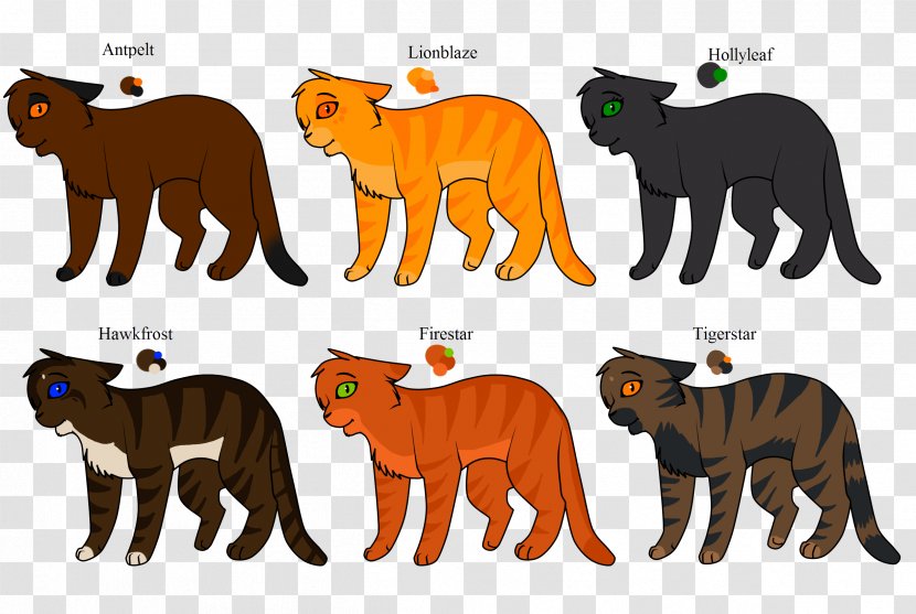 Lion Tiger Common Admission Test (CAT) · 2017 Warriors - Cat Like Mammal Transparent PNG