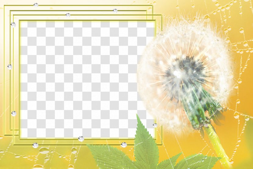 Drawing Picture Frame Software - Dandelion Border Transparent PNG