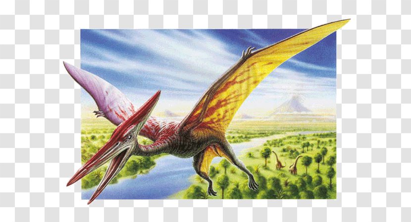 Pterodactyl Pteranodon Quetzalcoatlus Pterosaurs Dinosaur - Late Triassic Transparent PNG