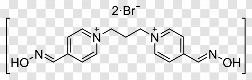 Esomeprazole Butylscopolamine Hyoscine Aplaviroc - Flower - Tree Transparent PNG