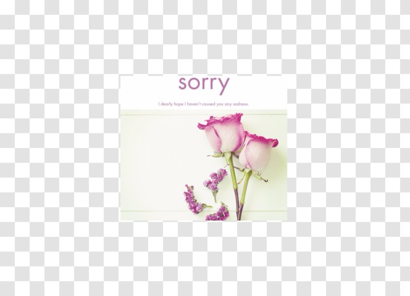 Petal Greeting & Note Cards Artificial Flower Font - Magenta Transparent PNG