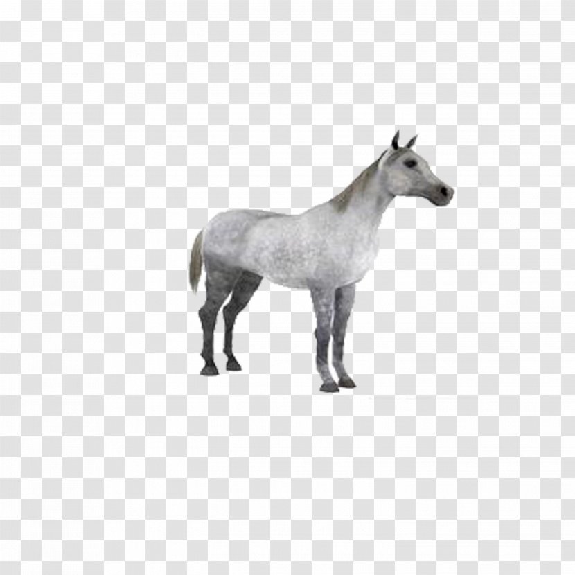 Horse Autodesk 3ds Max 3D Modeling Computer Graphics Texture Mapping - Pony - Whitehorse Transparent PNG