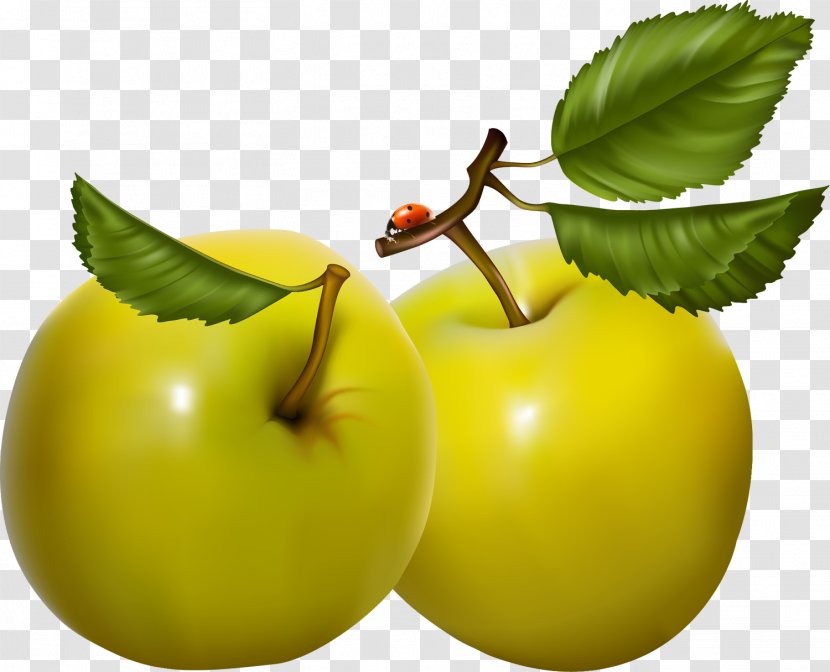 Art Fruit - Pear Transparent PNG