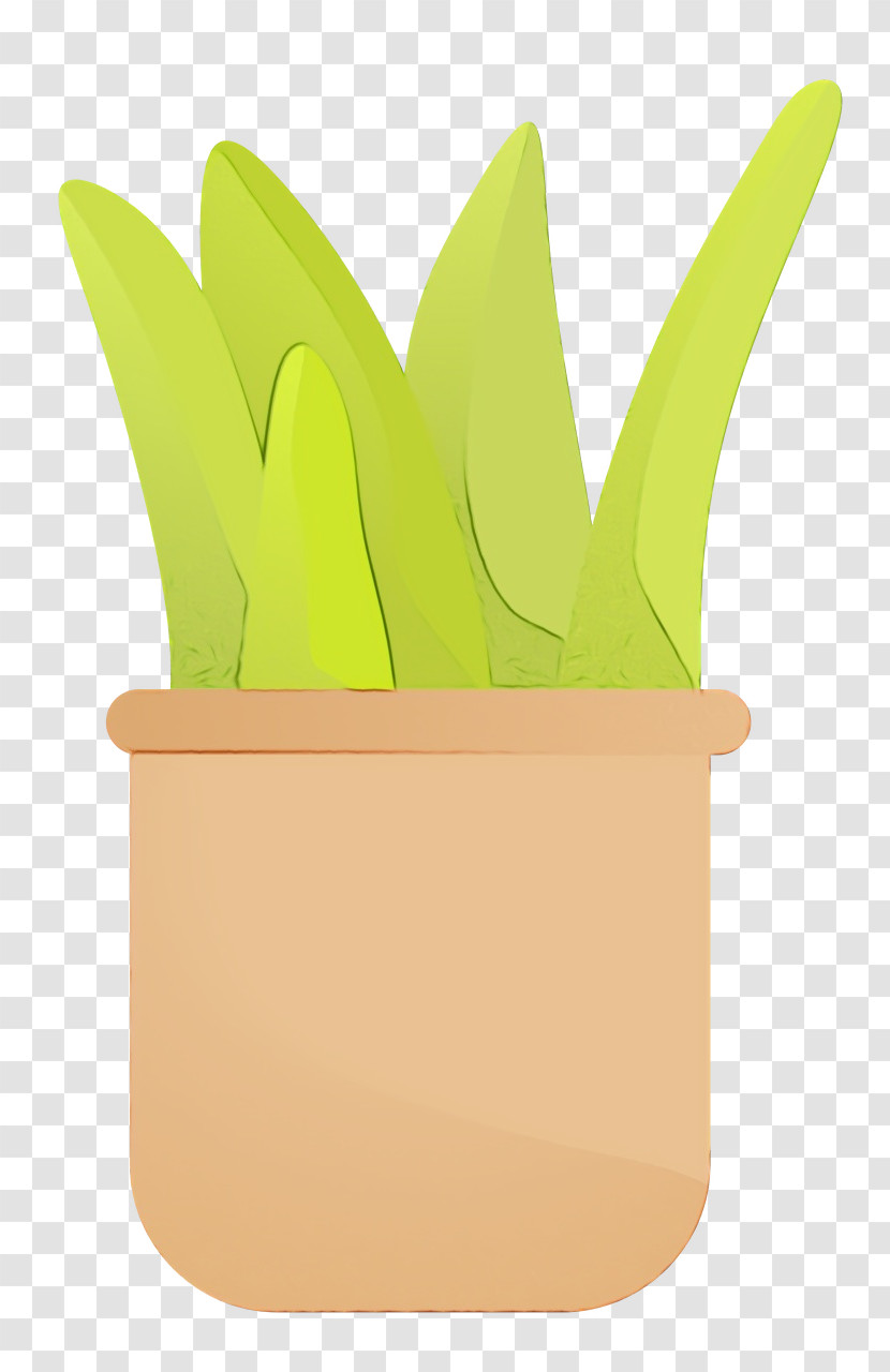 Green Flowerpot Fruit Transparent PNG