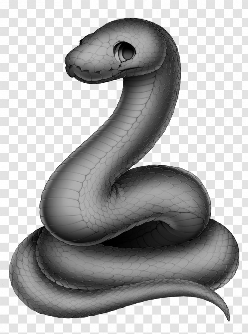 Cape File Snake Serpent Cobra - Mime Transparent PNG