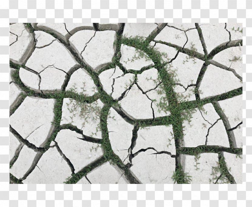 Map Photography - Twig - The Ground Of Crack Transparent PNG