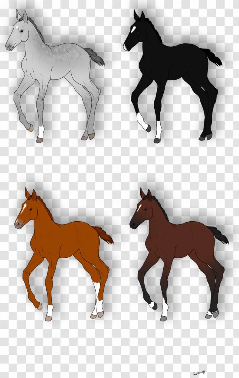 Mustang Foal Stallion Colt Mare - Animal Figure Transparent PNG
