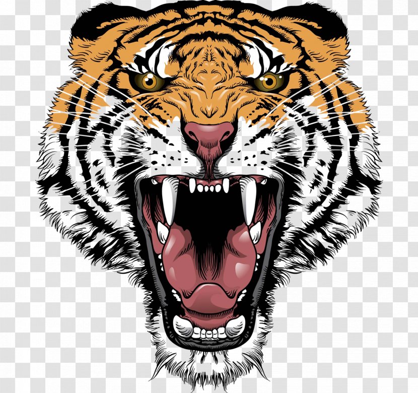 Tiger Lion Roar Big Cat Head - Bengal - Face Transparent Transparent PNG