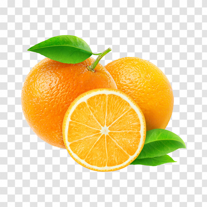 Orange Transparent PNG