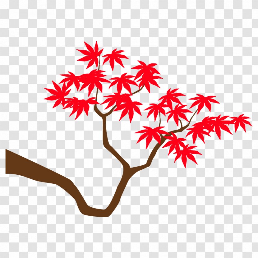 Maple Branch Leaves Autumn Tree - Plant - Twig Flower Transparent PNG