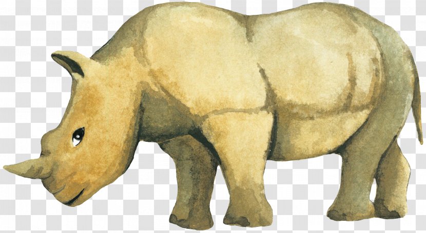 Rhinoceros Drawing - Mammal - Brown Rhino Transparent PNG